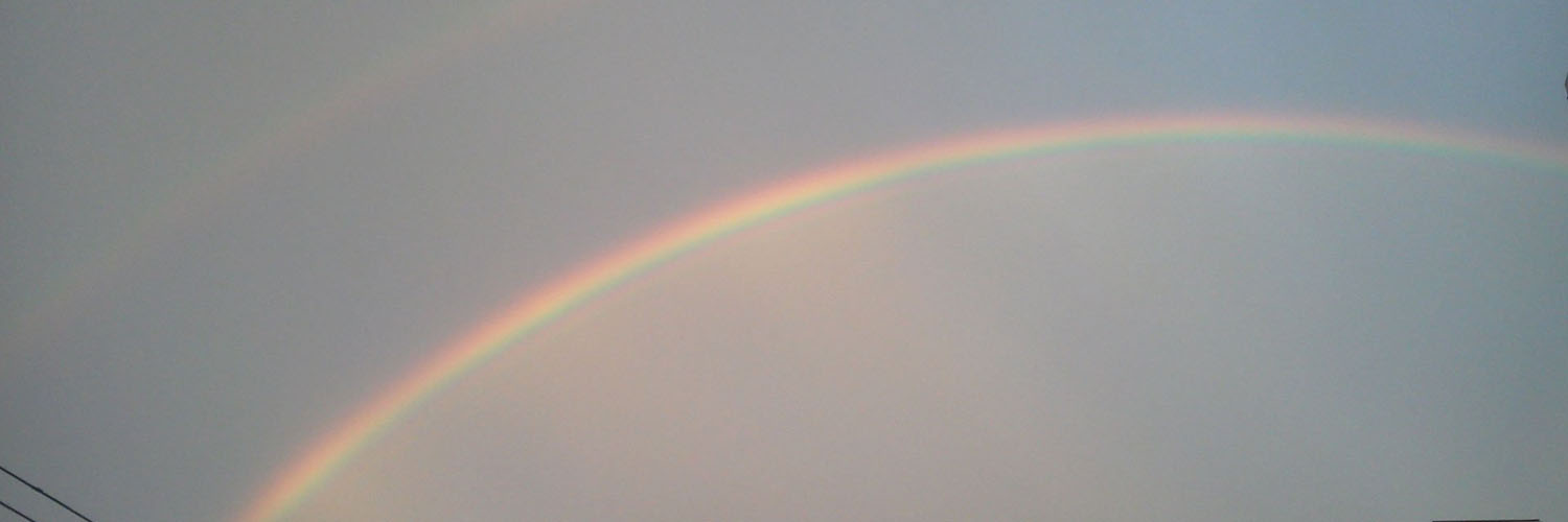 pocopy's profile banner image