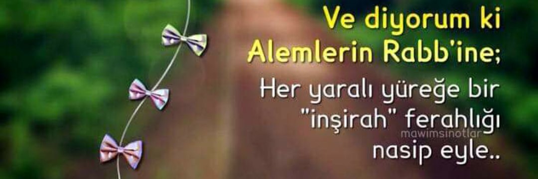Aslgibi8's profile banner image