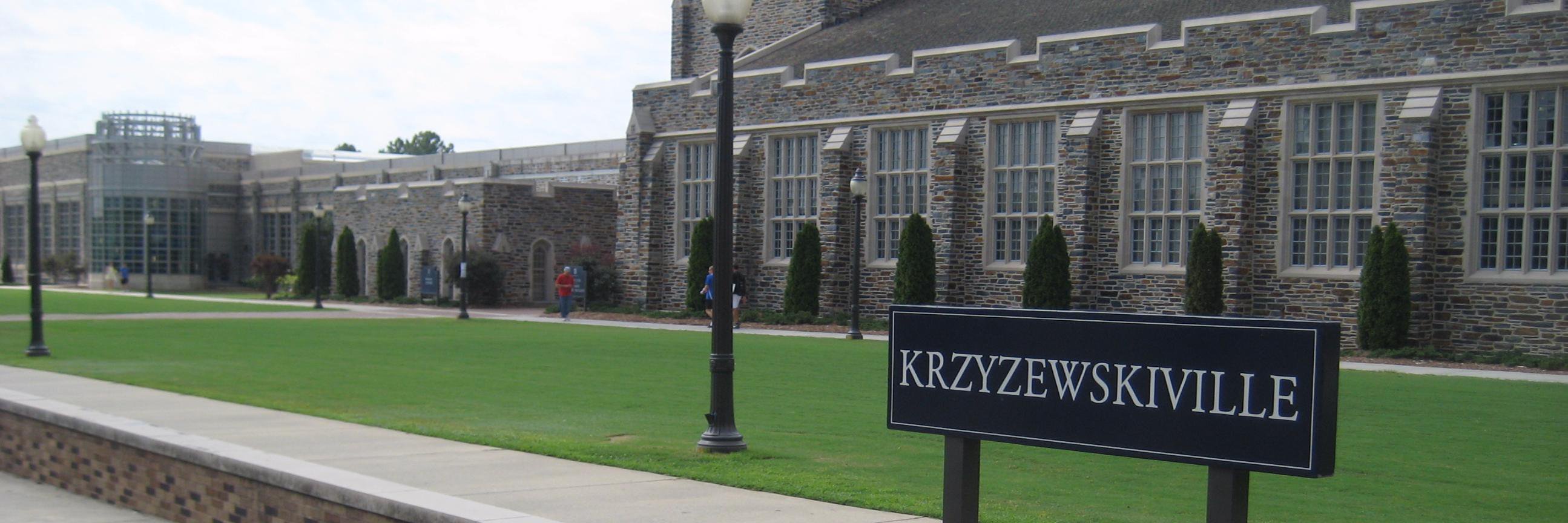 Go Duke banner