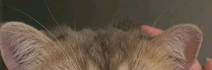 boo!👀🥣 banner