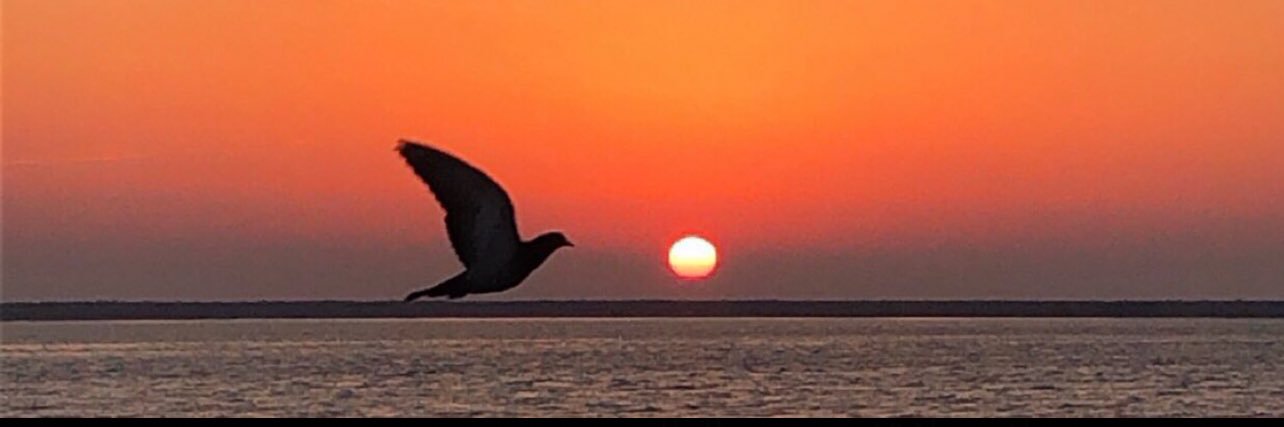 نوره 🤍 banner