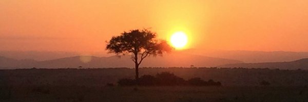 mfpullenmd Profile Banner