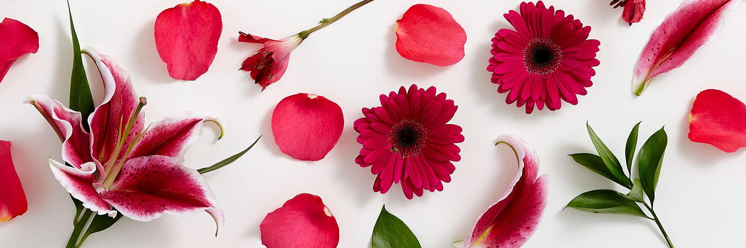 ProFlowersCS banner