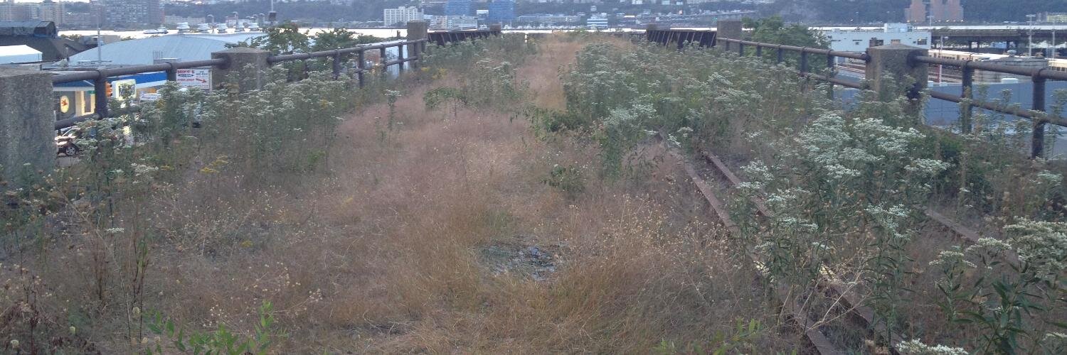 Peter D Mullan banner