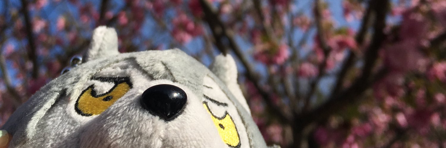豚足 banner