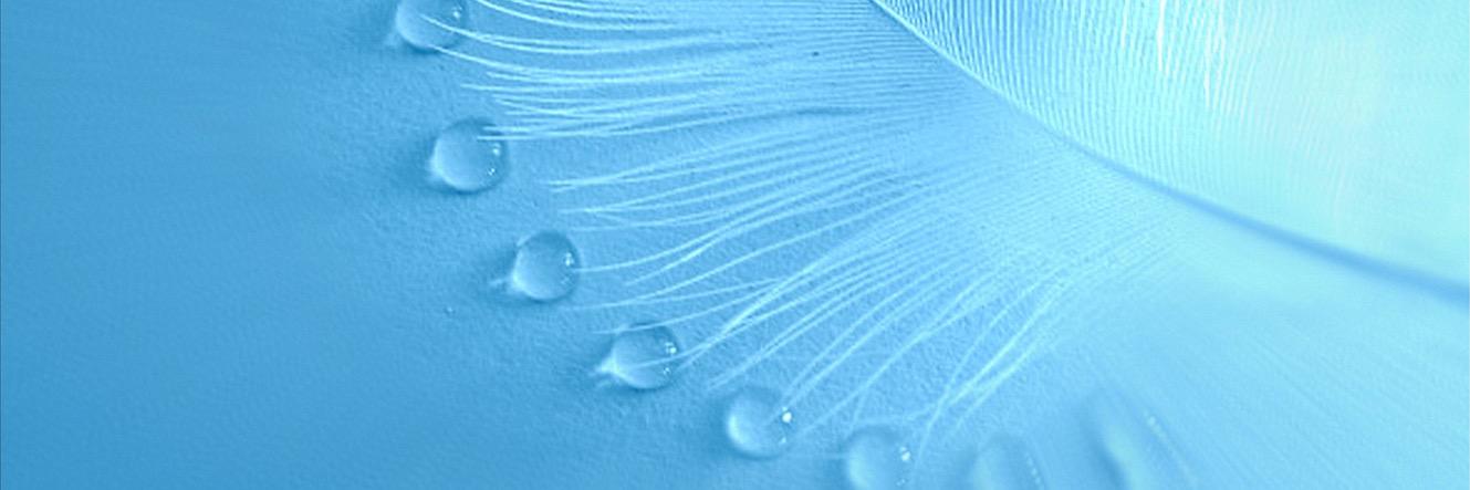 Sanne_deWit's profile banner image
