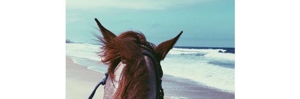 sho____shan's profile banner image