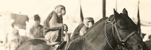 australopithecus anamensis banner