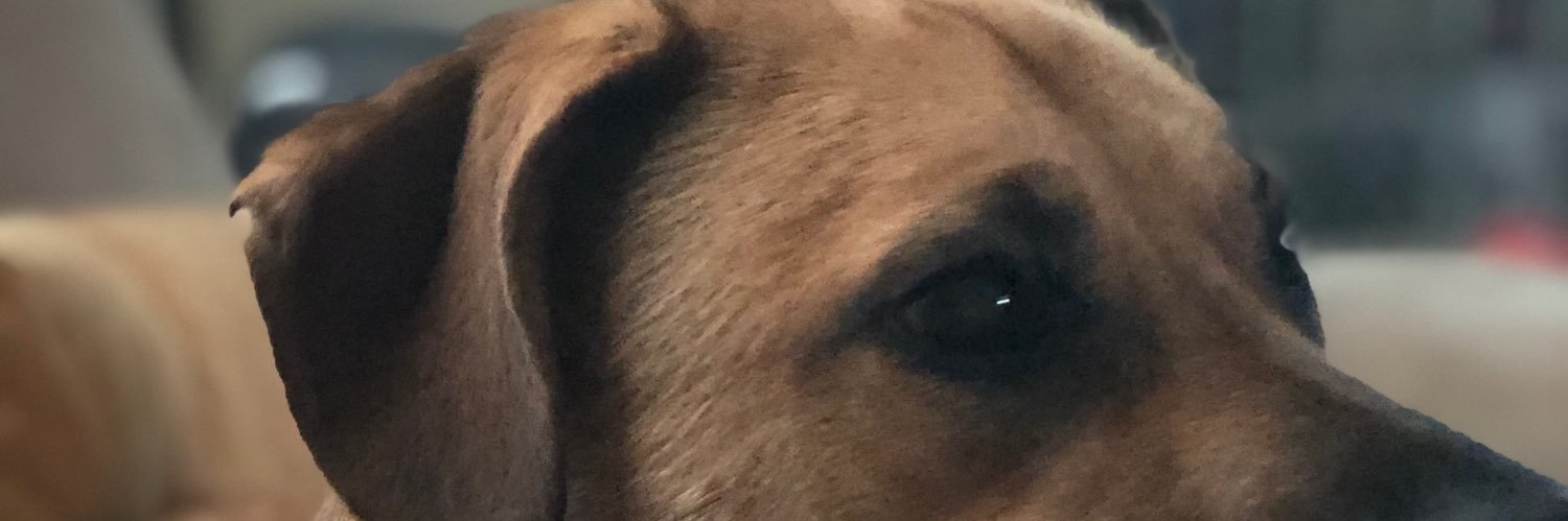 Dan5911's profile banner image