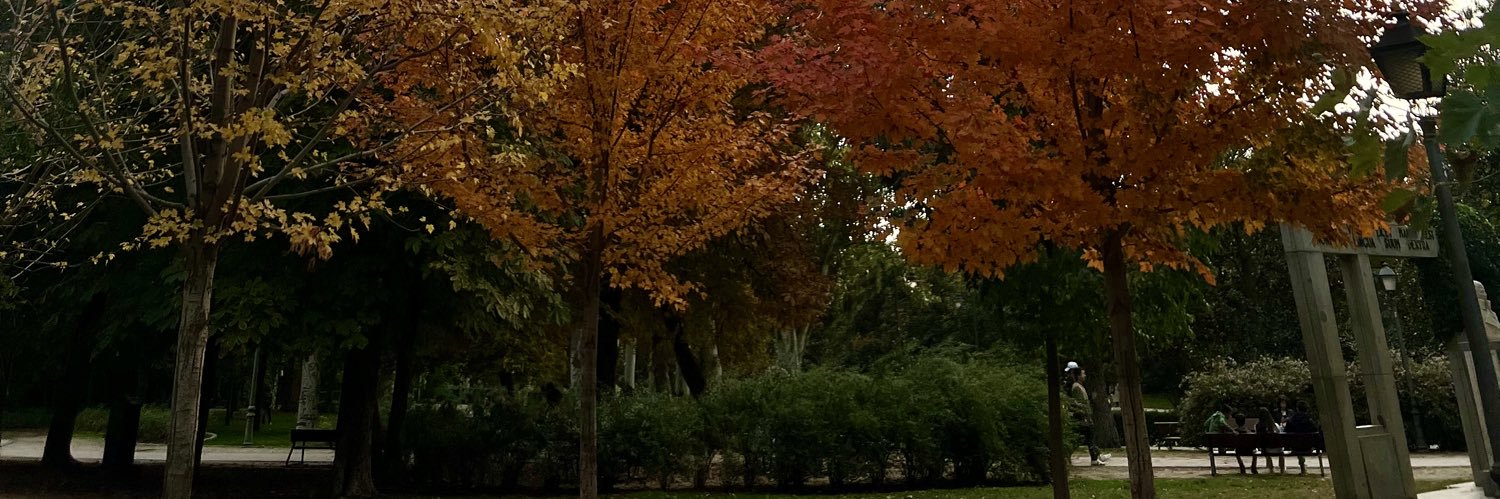 VBesserini's profile banner image