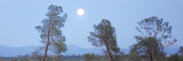 distribution_x Profile Banner
