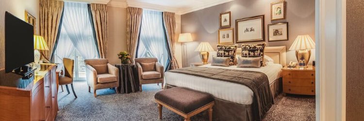 VineTree Connections banner