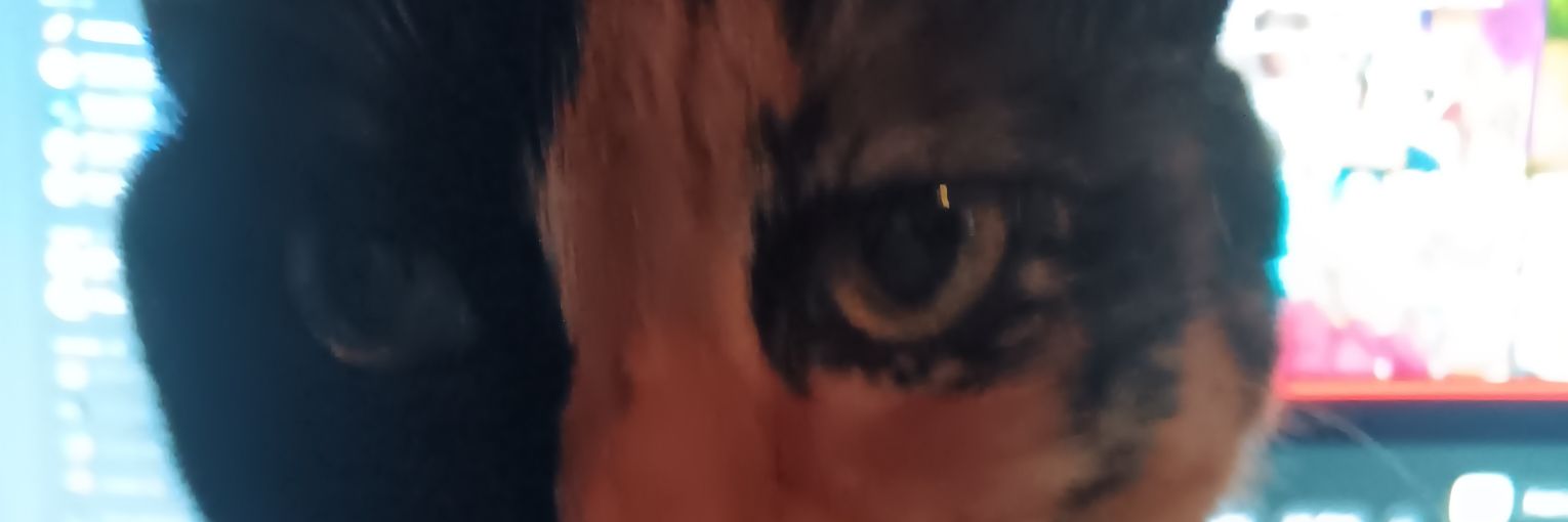 KaiisyTV's profile banner image