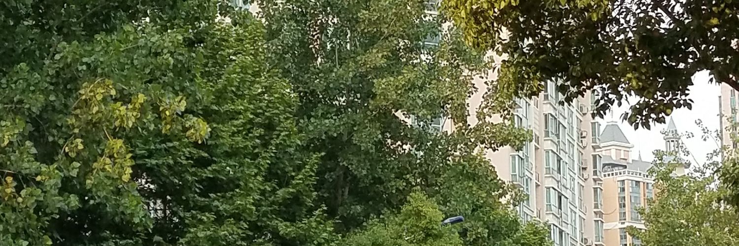 alec5007's profile banner image