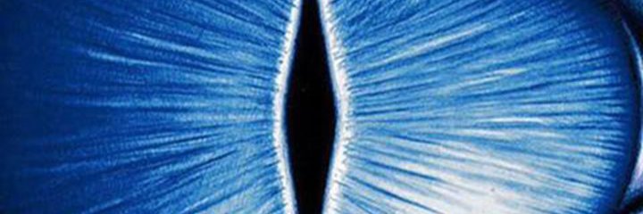 Crypto banner