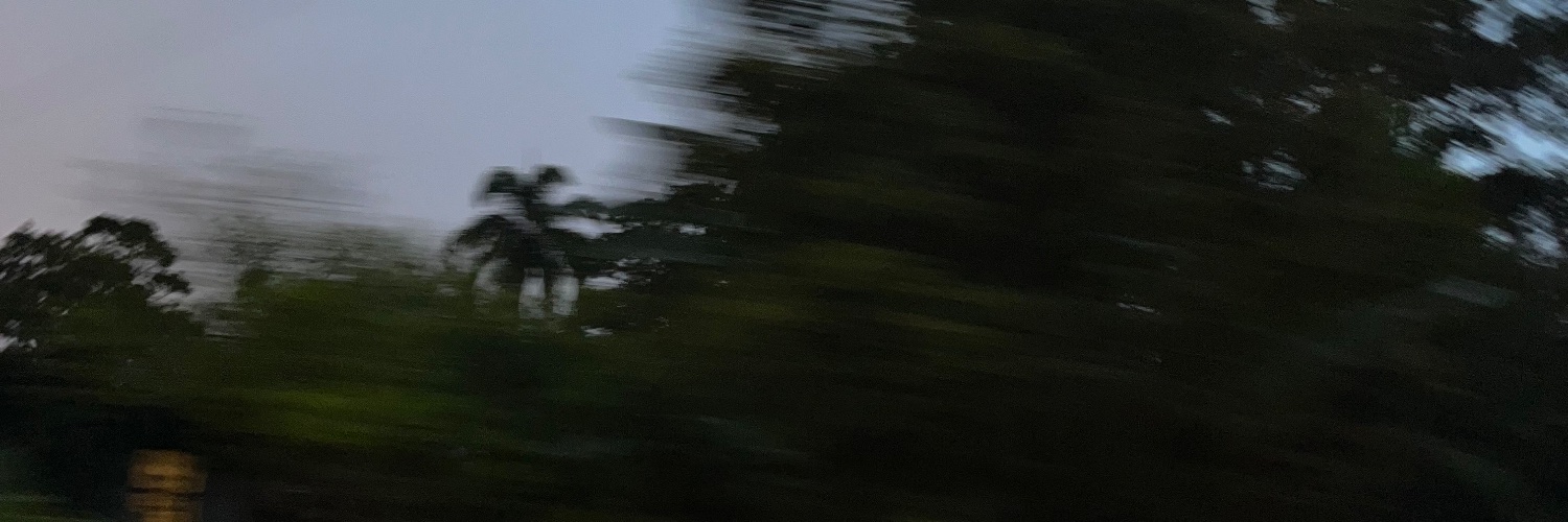 vahuast's profile banner image