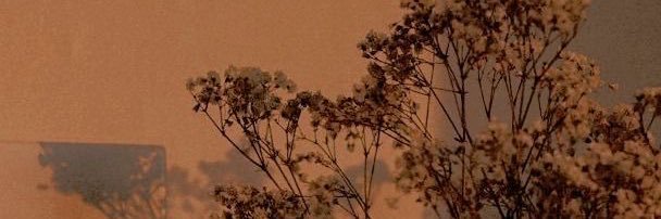 drlaf_'s profile banner image