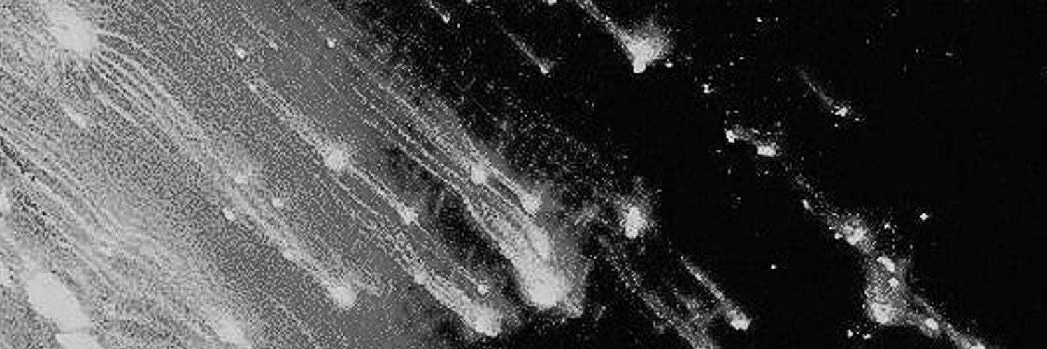 _e1trades's profile banner image