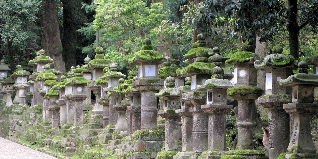 Tim Hempstead banner