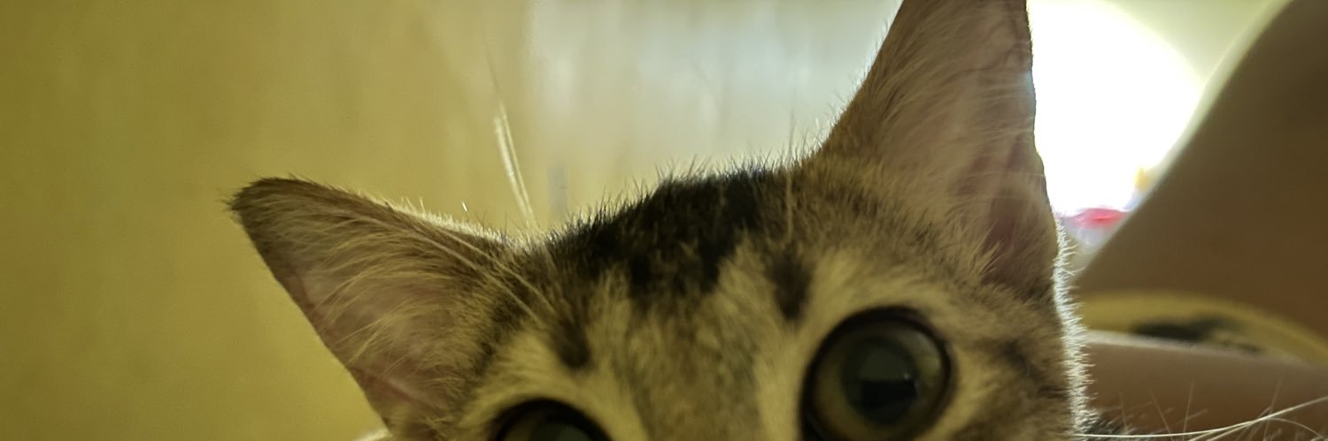 renle banner