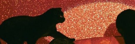 dumgoth's profile banner image