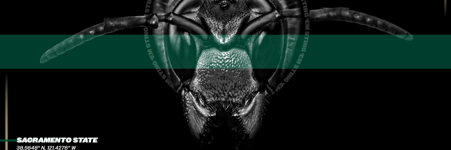 Hornet Compliance banner