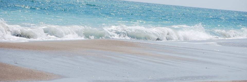 MichaelTapp50's profile banner image