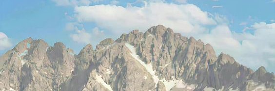 Carolina Pppp banner