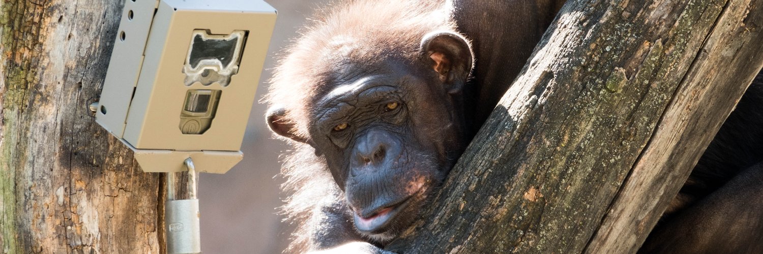 Jake Funkhouser banner