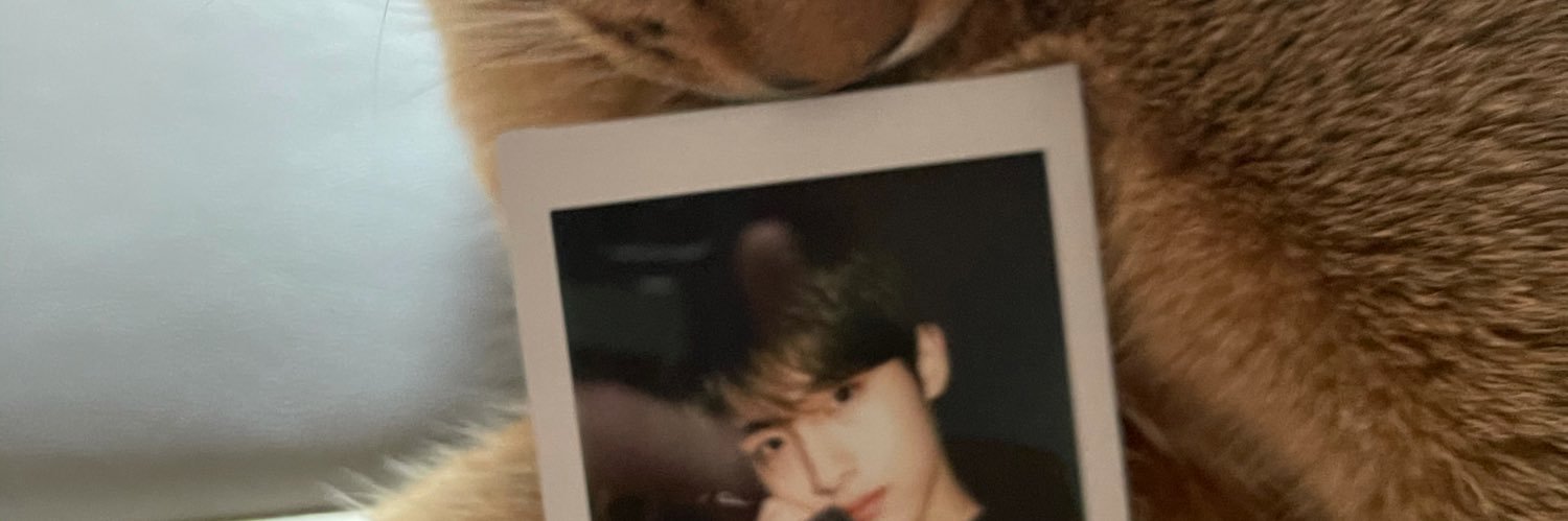 청청 banner