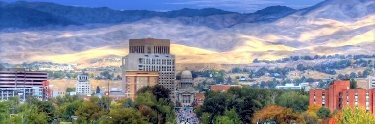 Whitney Shofner Michalsky, MD banner