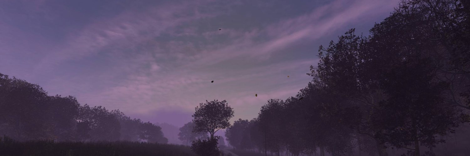 Shaddy banner