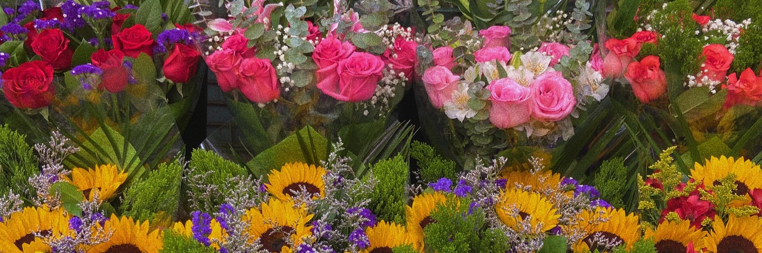 peyton elizabeth lee banner