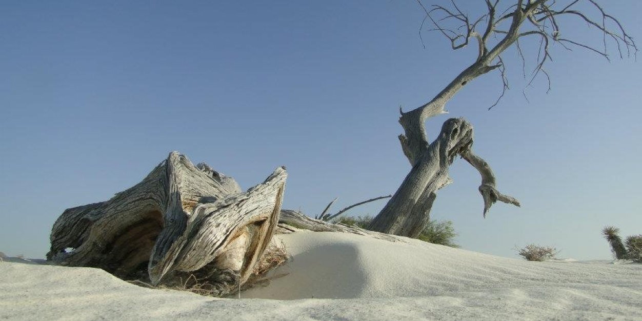 Sergio Marines Gomez banner