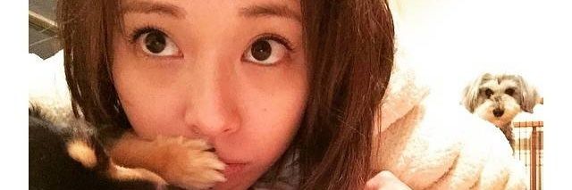 yanluohan's profile banner image