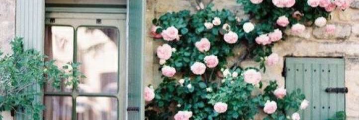 Mood001H's profile banner image