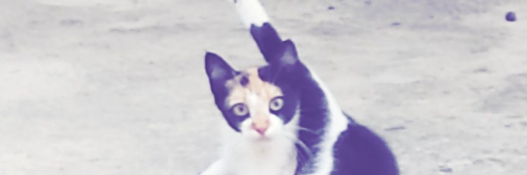 L29Jay's profile banner image