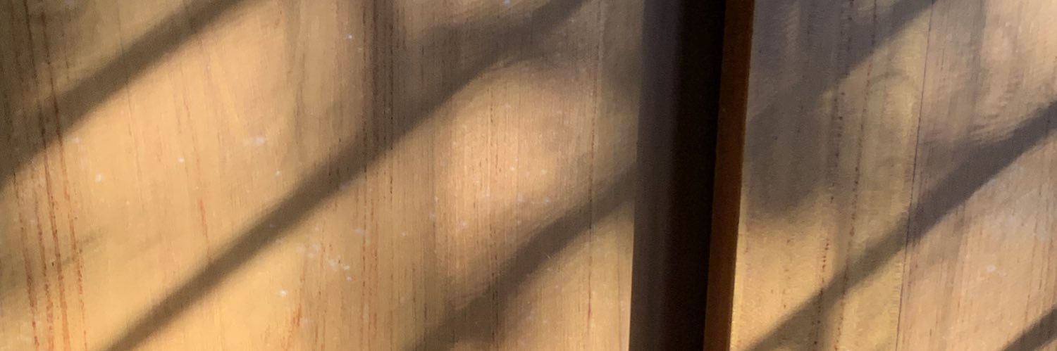 x - lizée 🐳 banner