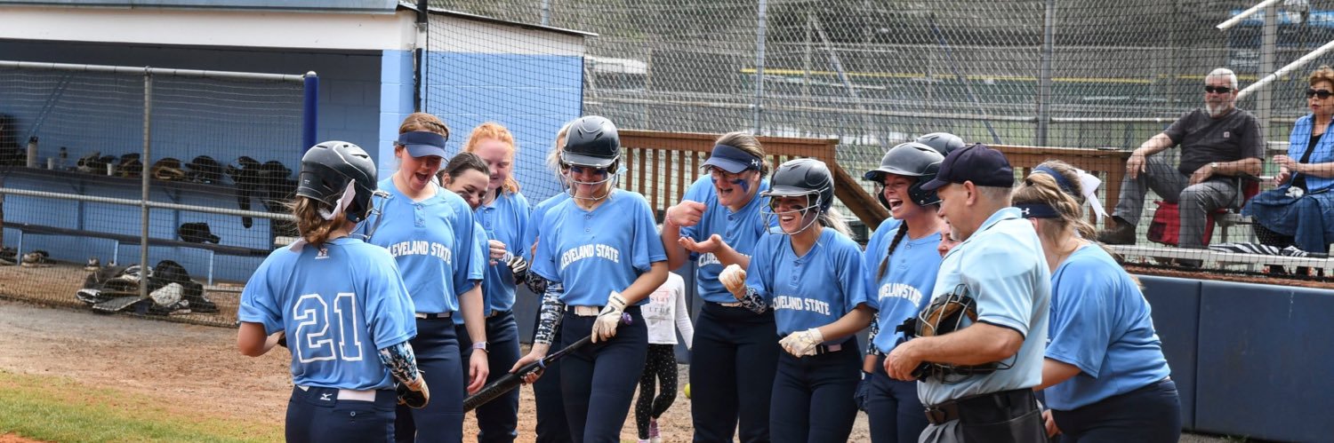 CSCC Softball banner