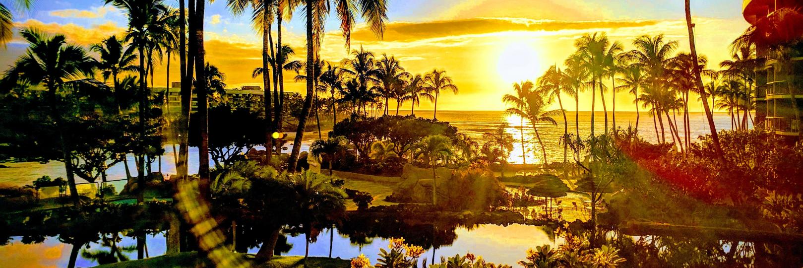 Ariel Gamiño banner