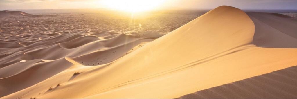 ibawardi's profile banner image