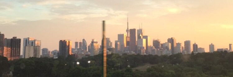 maygrosss's profile banner image