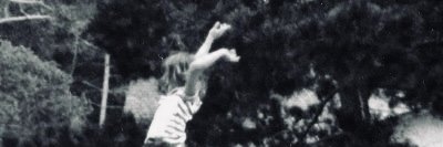 Lande banner