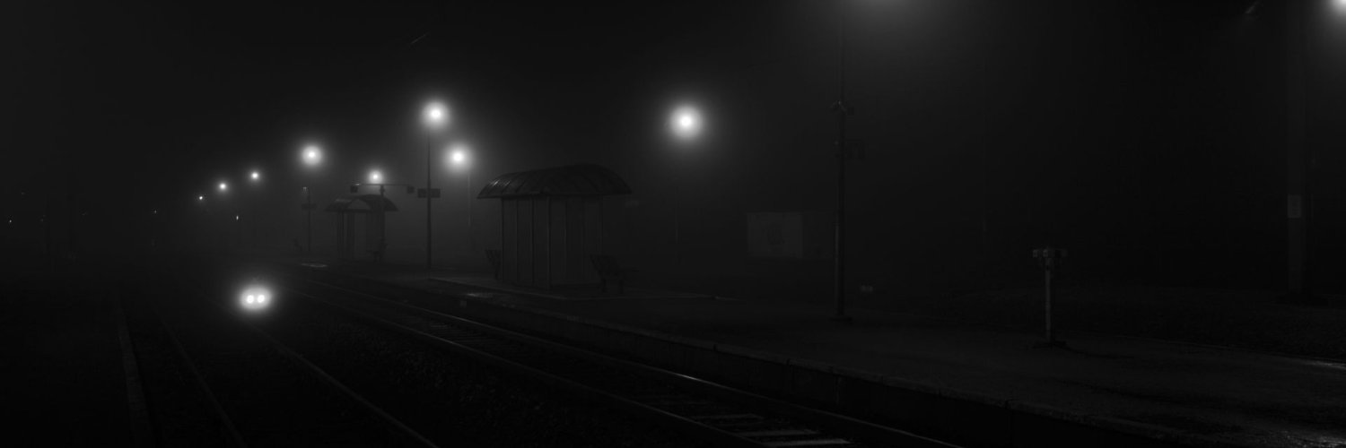 Roysevw's profile banner image