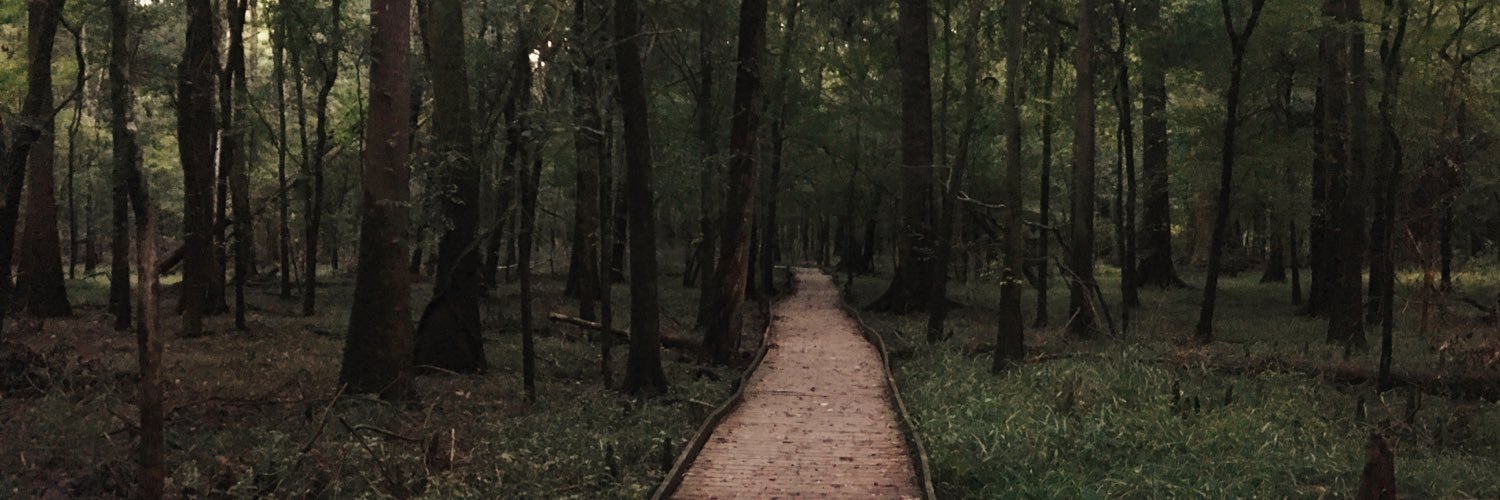 jillitswosh's profile banner image