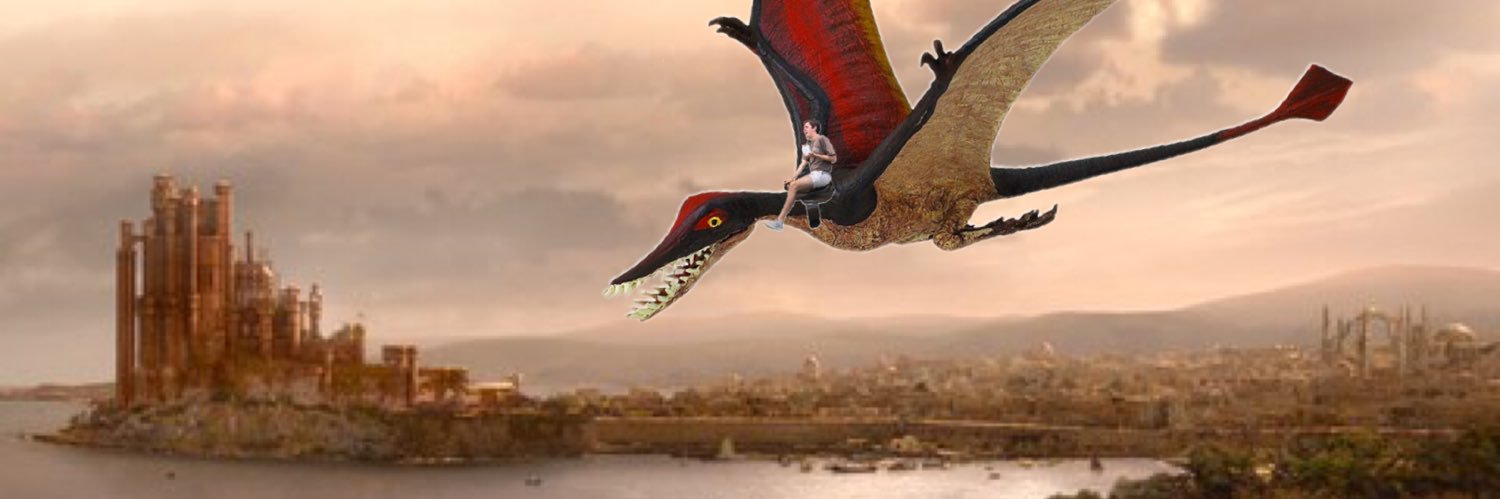 feebleoldhag's profile banner image