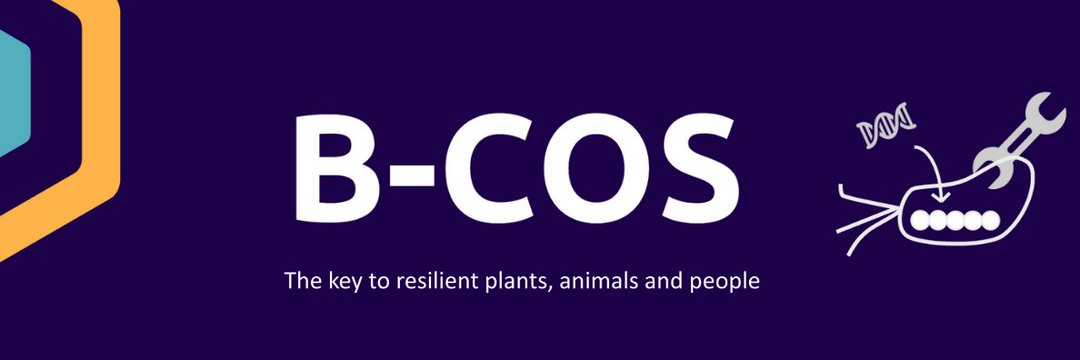 Wouter Demeester banner