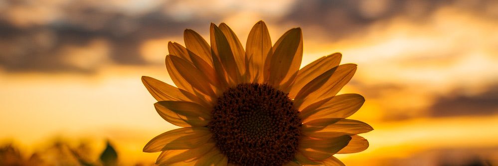 _alexgalban's profile banner image