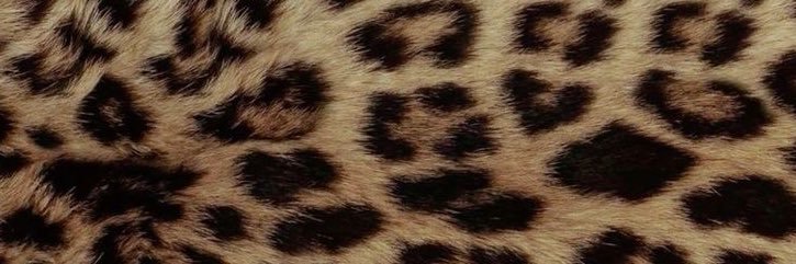 it1scii's profile banner image