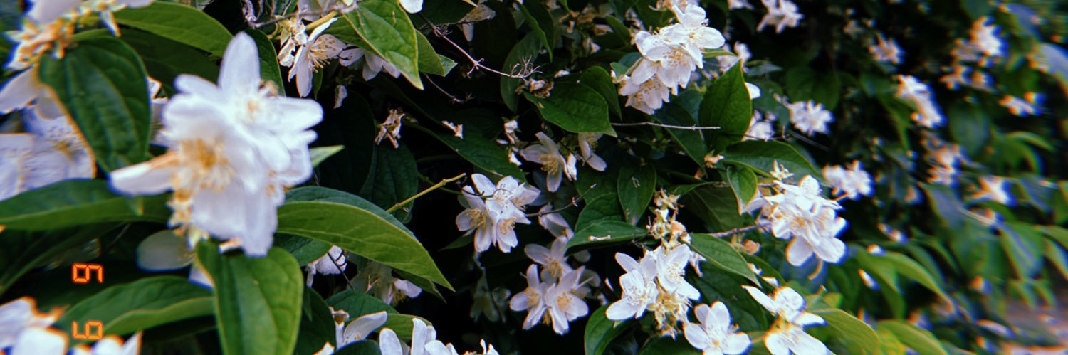 Ionelaaaa's profile banner image